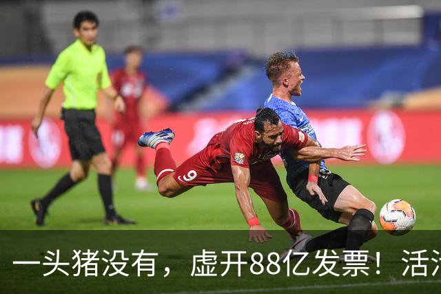 一头猪没有，虚开88亿发票！活活套走国企6000万