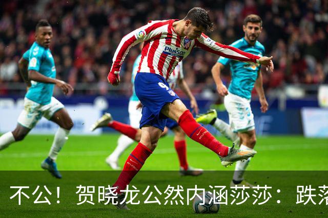 不公！贺晓龙公然内涵莎莎：跌落河北一姐之位，背后竟遭遇网络黑恶势力攻击