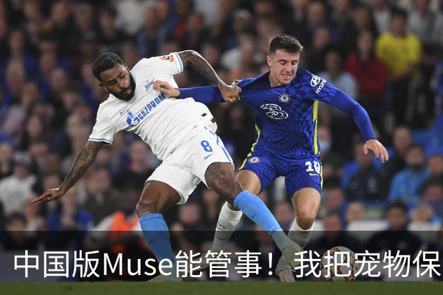 中国版Muse能管事！我把宠物保单、双11算价和周末旅行全交给了灵光2.0