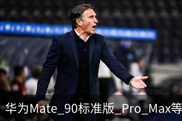 华为Mate 90标准版/ Pro Max等机型开放24期免息分期活动，国补价5499元起