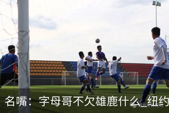 名嘴：字母哥不欠雄鹿什么 纽约现在渴望冠军