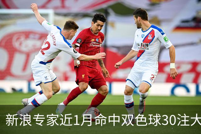 新浪专家近1月命中双色球30注大奖!豪揽8107万