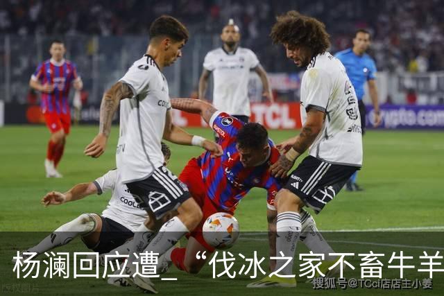 杨澜回应遭 “伐冰之家不畜牛羊”调侃：我不适合直播间吆喝卖百货