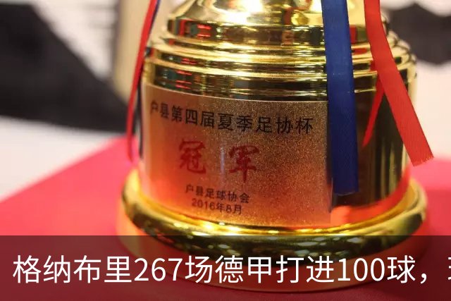 格纳布里267场德甲打进100球，现役德甲球员中第三位百球先生