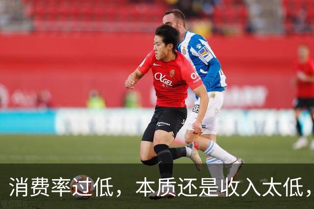 消费率过低，本质还是收入太低，提高分配收入才是重点