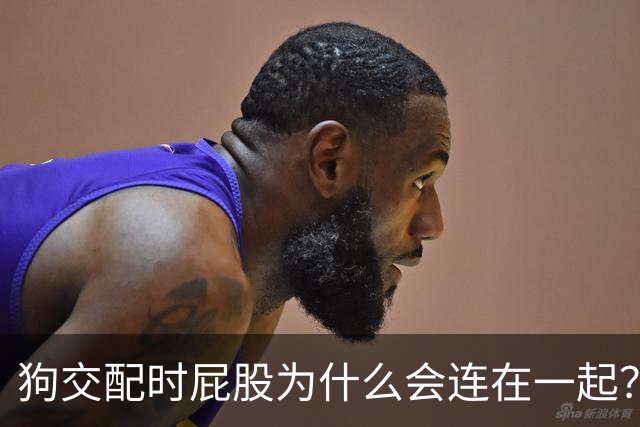 狗交配时屁股为什么会连在一起？是母狗不让，还是公狗不想？
