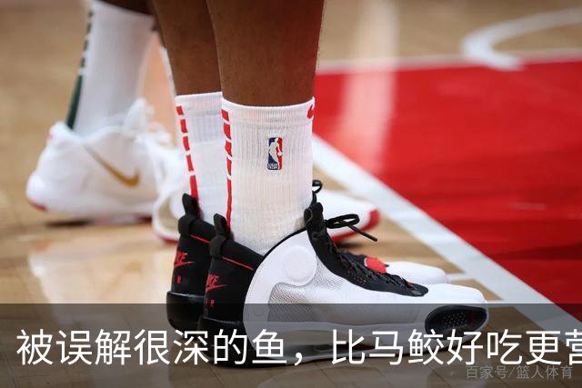 被误解很深的鱼，比马鲛好吃更营养，鱼肉似“千层糕”，我国独有