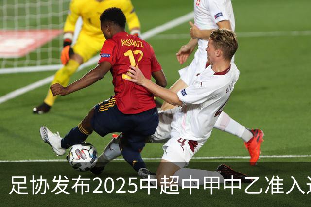 足协发布2025中超中甲中乙准入通知 11.25前提交材料