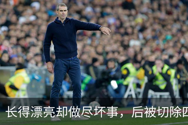 长得漂亮却做尽坏事，后被切除四个器官，就连小十五岁老公也出轨