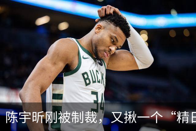 陈宇昕刚被制裁，又揪一个“精日”人员：竟然还是本土企业老板