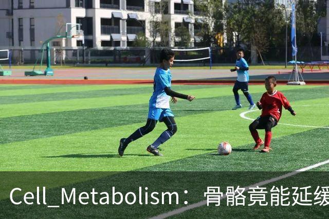 Cell Metabolism：骨骼竟能延缓衰老、延长寿命！白晓春团队揭示抗衰新机制
